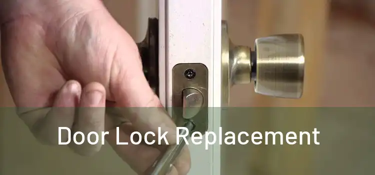  Door Lock Replacement 